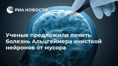 Ученые предложили лечить болезнь Альцгеймера очисткой нейронов от мусора - ria.ru - Москва - Тюмень - Сингапур
