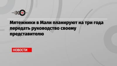 Мятежники в Мали планируют на три года передать руководство своему представителю - echo.msk.ru - Мали