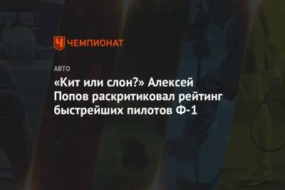 Алексей Попов - «Кит или слон?» Алексей Попов раскритиковал рейтинг быстрейших пилотов Ф-1 - championat.com