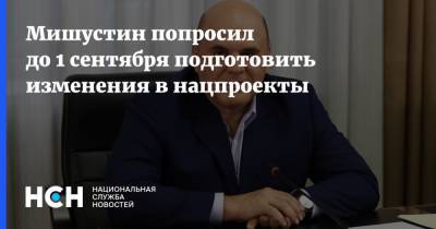 Михаил Мишустин - Мишустин попросил до 1 сентября подготовить изменения в нацпроекты - nsn.fm - Россия