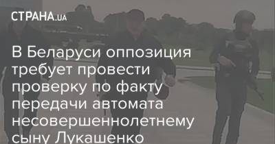 Александр Лукашенко - Николай Лукашенко - Мария Колесникова - В Беларуси оппозиция требует провести проверку по факту передачи автомата несовершеннолетнему сыну Лукашенко - strana.ua - Белоруссия - Минск