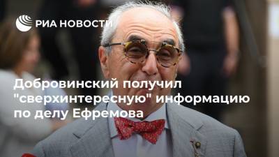 Михаил Ефремов - Сергей Захаров - Александр Добровинский - Эльман Пашаев - Елизавета Шаргородская - Добровинский получил "сверхинтересную" информацию по делу Ефремова - ria.ru - Москва