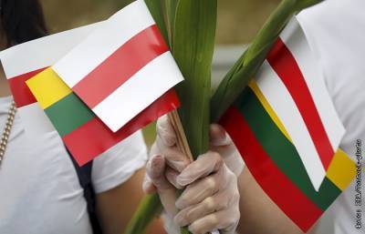 Олег Орлов - Белоруссия заявила, что в запущенных из Литвы шариках мог быть яд - interfax.ru - Москва - Белоруссия - Литва
