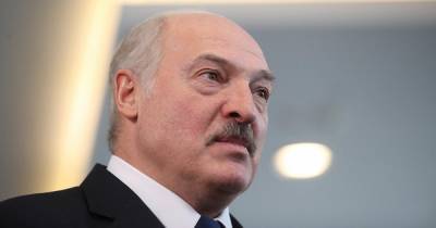 Александр Лукашенко - Лукашенко снял с должности посла в Словакии за поддержку протестов - ren.tv - Белоруссия - Словакия