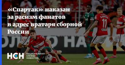 Алексей Смертин - «Спартак» наказан за расизм фанатов в адрес вратаря сборной России - nsn.fm - Москва - Россия