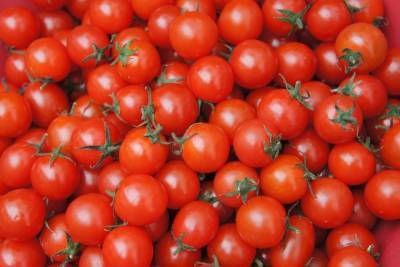 Зимние заготовки: маринованные томаты черри с секретным ингредиентом - novos.mk.ru - Новосибирск
