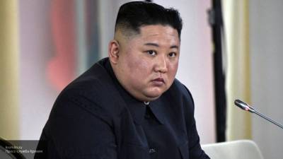 Ким Ченын - Ким Ечжон - Экс-дипломат Южной Кореи заявил о коме Ким Чен Ына - nation-news.ru - Южная Корея - КНДР