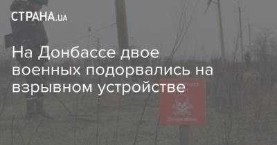 На Донбассе двое военных подорвались на взрывном устройстве - strana.ua