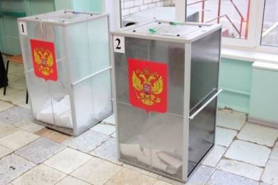Довыборы в Москве пройдут согласно новейшим электоральным трендам - aif.ru - Москва