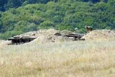 ВСУ заняли новые позиции в серой зоне на Донбассе, видео - real-vin.com - Украина - ЛНР - хутор Вольный
