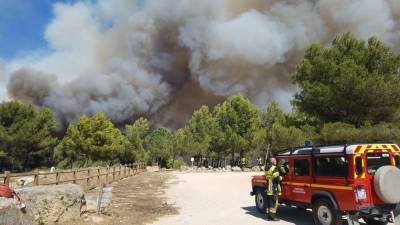 Ньюсома Гэвин - В Калифорнии и Франции не утихают лесные пожары - inform-ua.info - Франция - шт. Калифорния