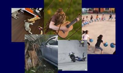Самые интересные видео 25 августа - bloknot.ru