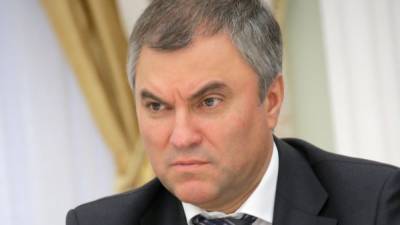 Алексей Навальный - Ангела Меркель - Вячеслав Володин - Госдума проверит отравление Навального на предмет иностранной провокации - svoboda.org - Россия - Германия
