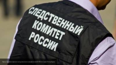 Видео с избиением школьницы толпой в Новомичуринске попало в Сеть - nation-news.ru - Новомичуринск
