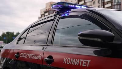Подозреваемого в нападении на женщин в Новосибирске задержали - iz.ru - Новосибирск - район Дзержинский