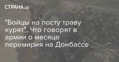 Владимир Зеленский - "Бойцы на посту траву курят". Что говорят в армии о месяце перемирия на Донбассе - strana.ua - Киев