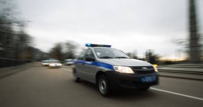 В Гурьевске десятилетняя девочка попала под колёса легковушки - klops.ru - Гурьевск