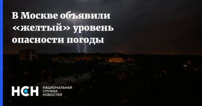 В Москве объявили «желтый» уровень опасности погоды - nsn.fm - Москва - Россия - Московская обл.