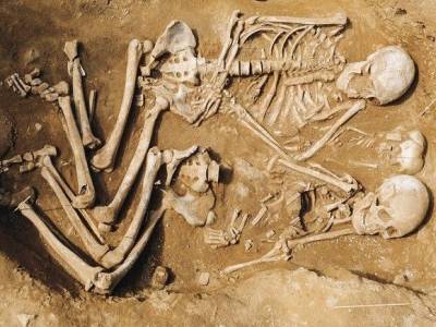 Житель Улан-Удэ нашел на огороде останки доисторической семьи (фото) - rosbalt.ru - Россия - Улан-Удэ