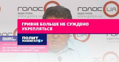 Алексей Плотников - Гривне больше не суждено укрепляться - politnavigator.net - Украина - Киев