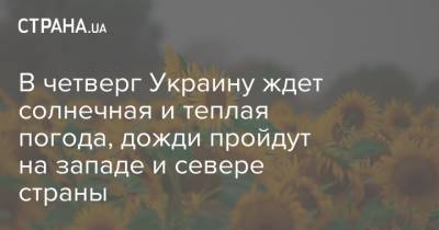 В четверг Украину ждет солнечная и теплая погода, дожди пройдут на западе и севере страны - strana.ua - Украина - Киев - Черкасская обл.