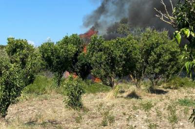 В Италии разбился туристический самолет, два человека погибли - vkcyprus.com - Италия - Индия - Южный Судан - Джуба