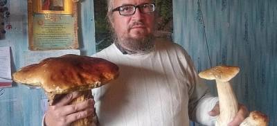 Алексей Тищенко - Омич нашел в тайге белый гриб весом около килограмма - runews24.ru - Омская обл.