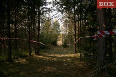 В Печоре пенсионер шесть дней провел в лесу без запасов еды - bnkomi.ru - район Печорский