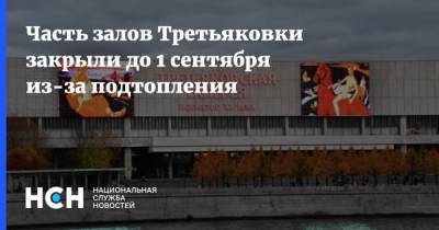 Часть залов Третьяковки закрыли до 1 сентября из-за подтопления - nsn.fm - Казань