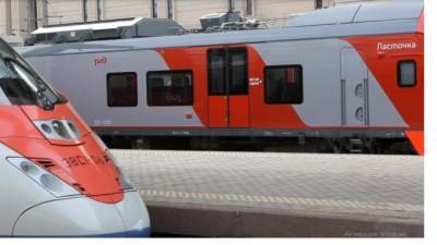 Пассажир в Пулково пытался провезти через границу детали для поездов "Ласточка" - piter.tv - Москва - Санкт-Петербург - Германия
