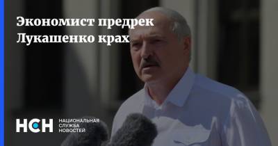 Александр Лукашенко - Михаил Делягин - Экономист предрек Лукашенко крах - nsn.fm - Россия - Белоруссия