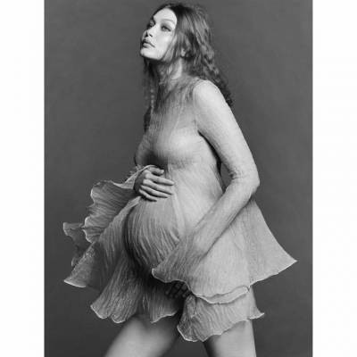 Малик Зейн - Джиджи Хадид на последних месяцах беременности снялась в трогательной фотосессии - bykvu.com - Украина