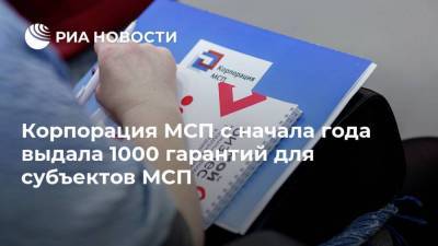 Корпорация МСП с начала года выдала 1000 гарантий для субъектов МСП - smartmoney.one - Ставрополье