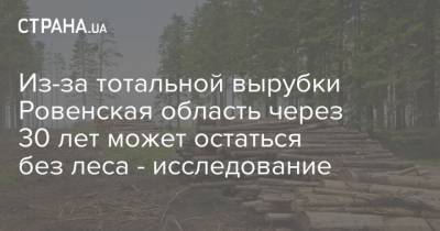 Из-за тотальной вырубки Ровенская область через 30 лет может остаться без леса - исследование - strana.ua - Украина - Житомирская обл.