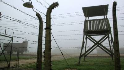 «Оскорбительно и болезненно»: Музей Освенцима осудил флешмоб о холокосте - 5-tv.ru