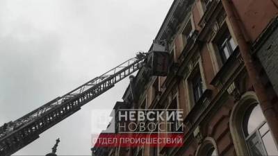 На Московском насильно госпитализировали неадекватную калометательницу - piter.tv