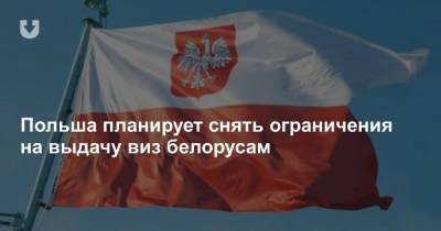 Михал Дворчик - Польша планирует снять ограничения на выдачу виз белорусам - news.tut.by - Белоруссия - Польша