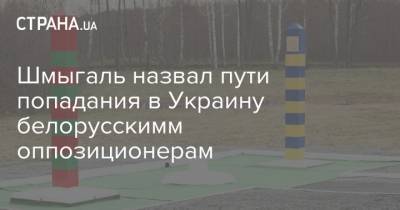 Денис Шмыгаль - Шмыгаль назвал пути попадания в Украину белорусскимм оппозиционерам - strana.ua - Украина - Белоруссия - Премьер-Министр