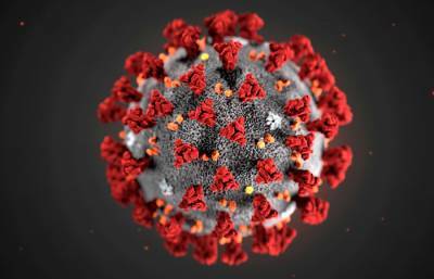Дмитрий Лиознов - НИИ гриппа начнет клинические испытания своей вакцины от COVID-19 в 2021 году - interfax.ru - Москва - Санкт-Петербург - Петербург