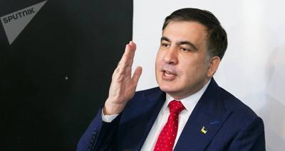 Михаил Саакашвили - Елен Панин - Саакашвили может быть отведена роль в новой "цветной революции", считают в Госдуме - sputnik-georgia.ru - Украина - Грузия - Тбилиси