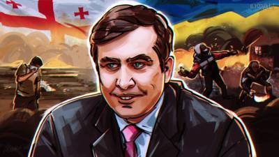 Михаил Саакашвили - Елена Панина - В Госдуме назвали причину возвращения Саакашвили в Грузию - riafan.ru - Москва - Грузия