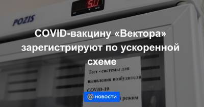 Александр Рыжиков - COVID-вакцину «Вектора» зарегистрируют по ускоренной схеме - news.mail.ru - Россия