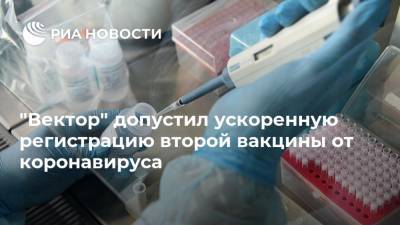 Владимир Путин - Татьяна Голикова - Александр Рыжиков - "Вектор" допустил ускоренную регистрацию второй вакцины от коронавируса - ria.ru - Москва - Россия