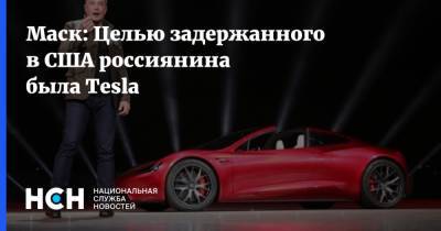 Илон Маск - Егор Крючков - Маск: Целью задержанного в США россиянина была Tesla - nsn.fm - Россия - США - шт. Невада