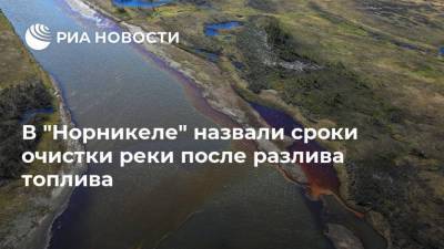 Сергей Дяченко - В "Норникеле" назвали сроки очистки реки после разлива топлива - smartmoney.one - Норильск