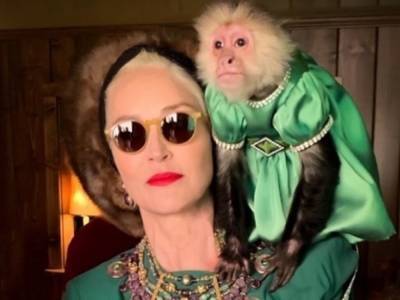 Сара Полсон - Шэрон Стоун - 62-летняя Шэрон Стоун вызвала восторг поклонников фото с ряженной обезьянкой - golos.ua - США - Украина