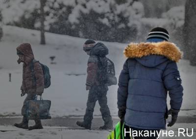 Доступ родителей в школы в этом году будет ограничен - Роспотребнадзор - nakanune.ru - Россия