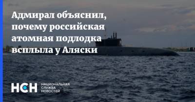Владимир Комоедов - Адмирал объяснил, почему российская атомная подлодка всплыла у Аляски - nsn.fm - США - шт.Аляска
