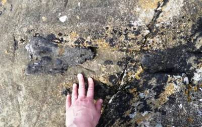 Шотландка во время пробежки нашла кость динозавра - korrespondent.net - Шотландия - Находка