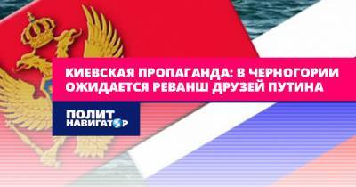 Мило Джуканович - Наталья Ищенко - Киевская пропаганда: В Черногории ожидается реванш друзей Путина - politnavigator.net - Украина - Черногория